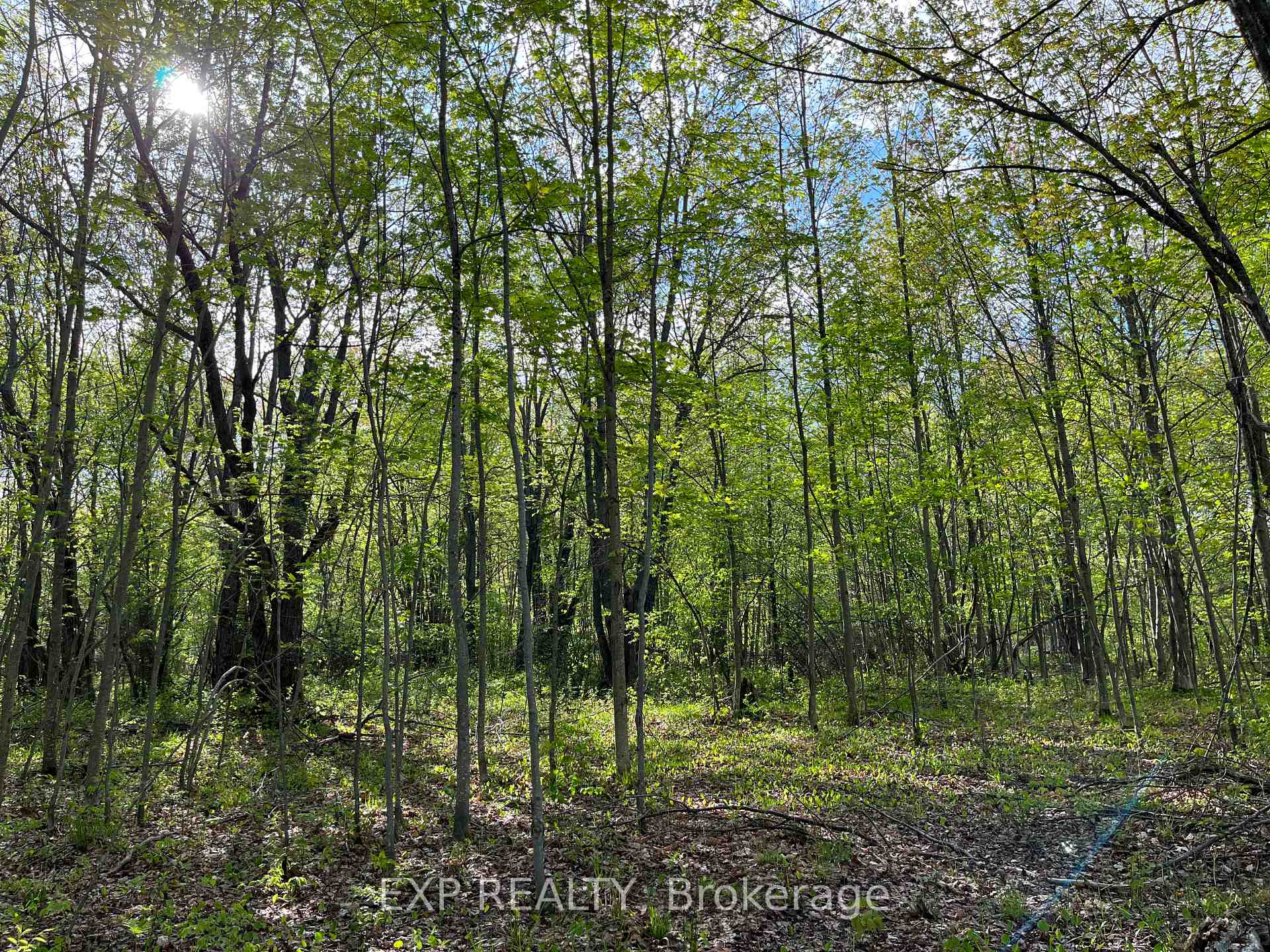 Lot 7 Casson Trail, Madawaska Valley, ON K0J 1B0