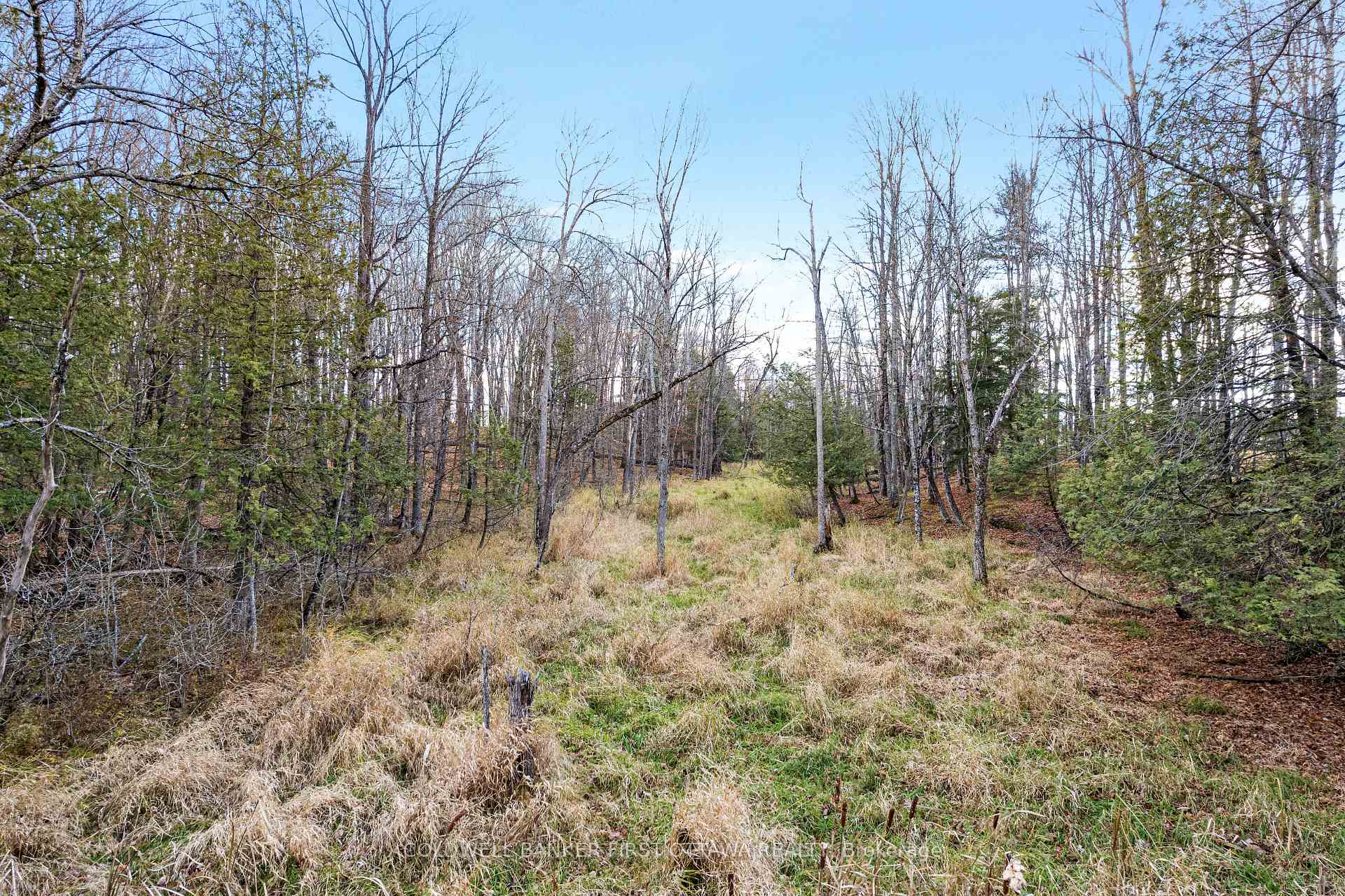 PT 1-00 Herron Mills Road, Lanark Highlands, ON K0G 1K0