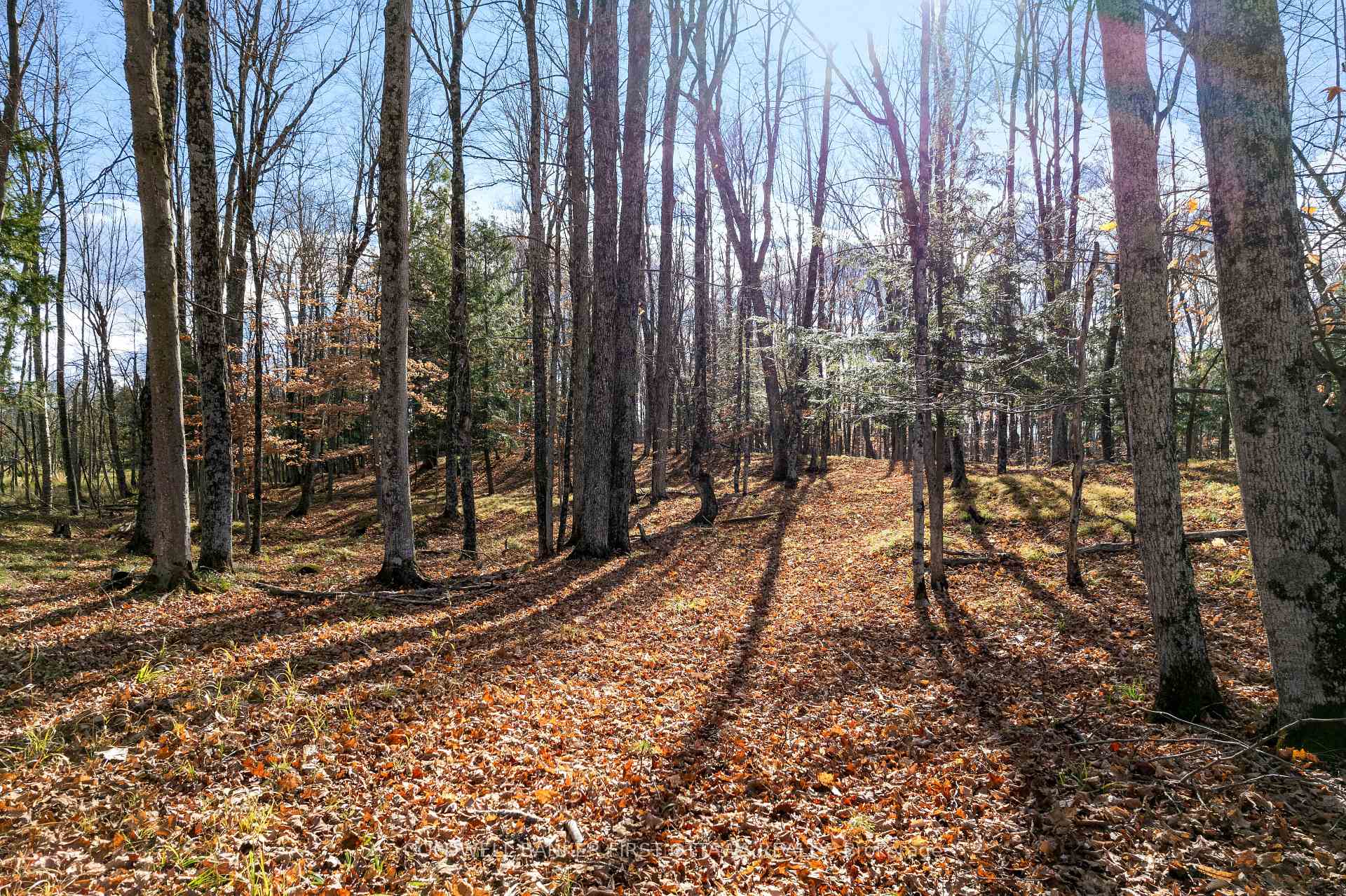 PT 2-00 Herron Mills Road, Lanark Highlands, ON K0G 1K0