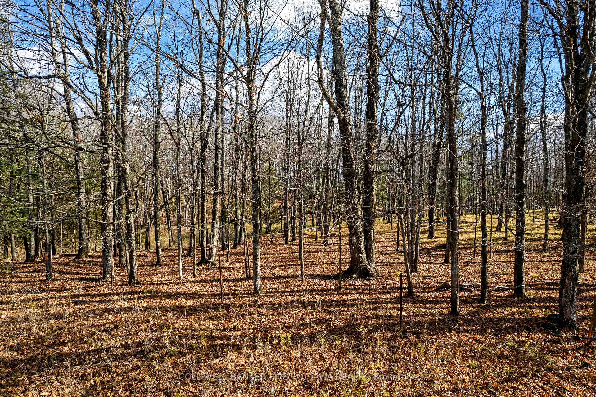 PT 3-00 Herron Mills Road, Lanark Highlands, ON K0G 1K0