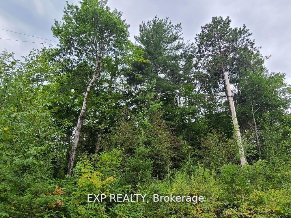 20 Peplinskie Homestead Road, Madawaska Valley, ON K0J 1B0