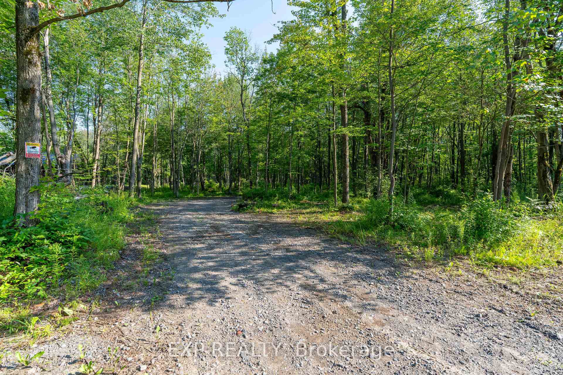 Lot 20 CONCESSION 4 Road, Alfred and Plantagenet, ON K0B 1L0